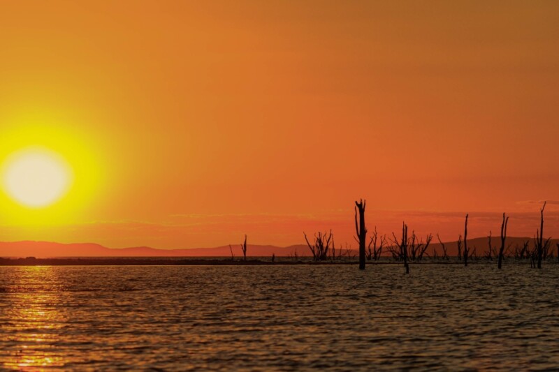 Wild Wonders of Southern Africa