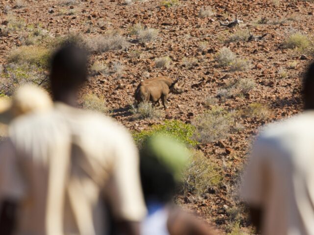 Grootberg Lodge Activities