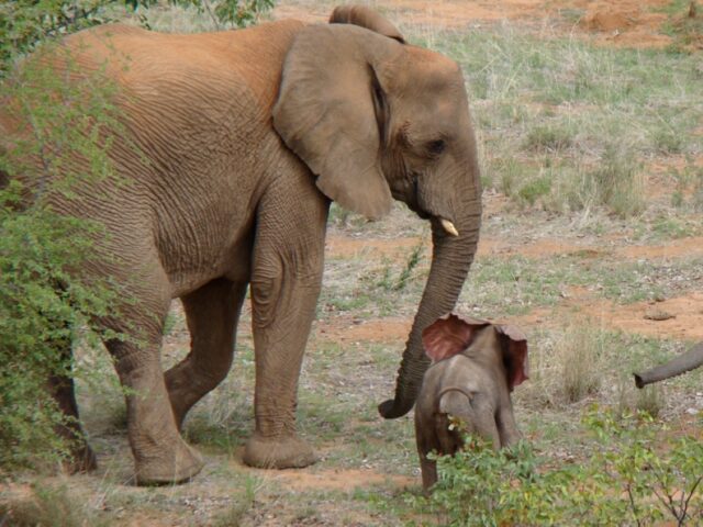 Grootberg Lodge Activities