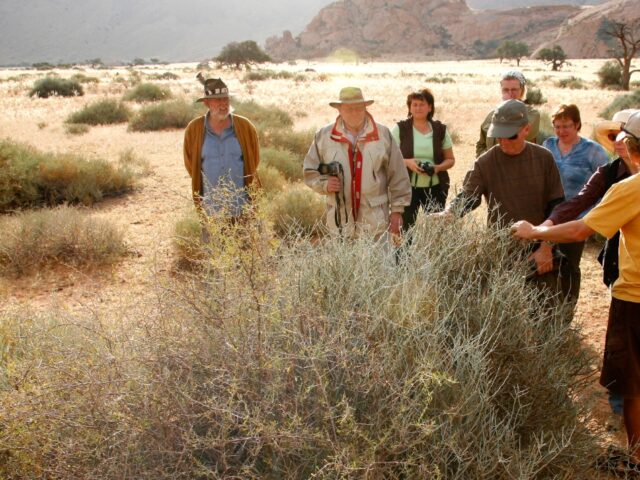 Namtib Biosphere Reserve - Namtib Desert Lodge ~ Little Hunter's Rest 