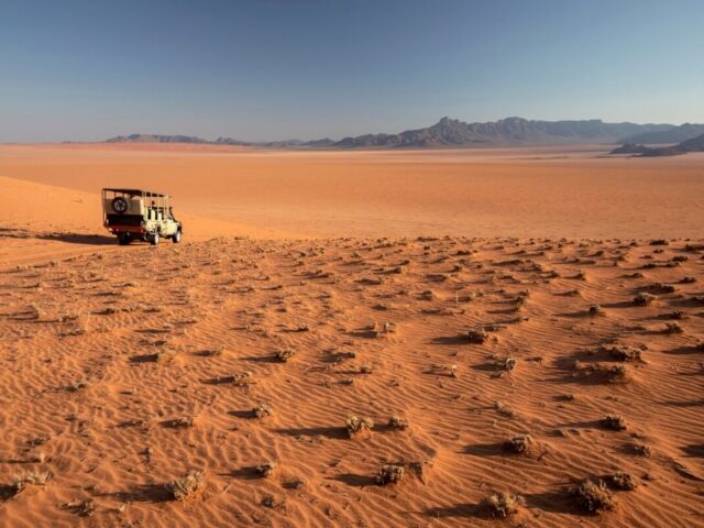Kwessi-Dunes-Nature-drive-in-the-NamibRand 
