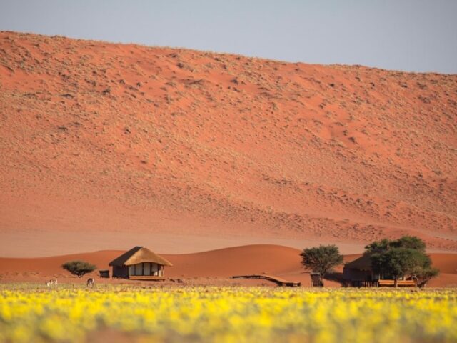 Kwessi-Dunes-Rooms