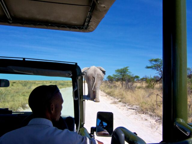 Mokuti Etosha Lodge - Etosha National Park