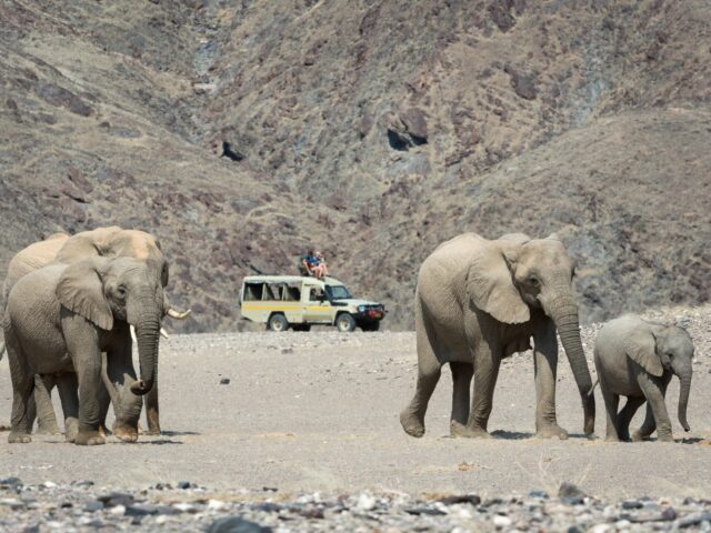 Hoanib Skeleton Coast Camp