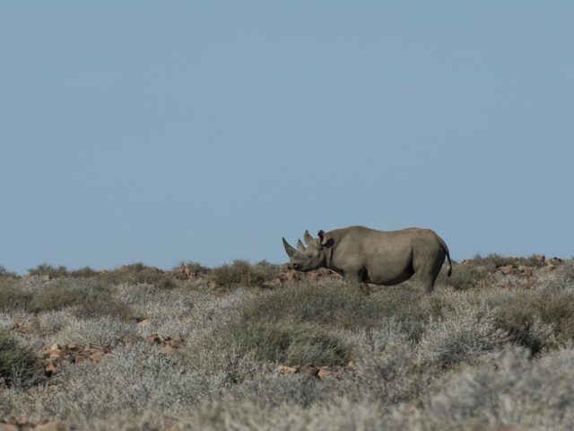 Damaraland Camp Activities