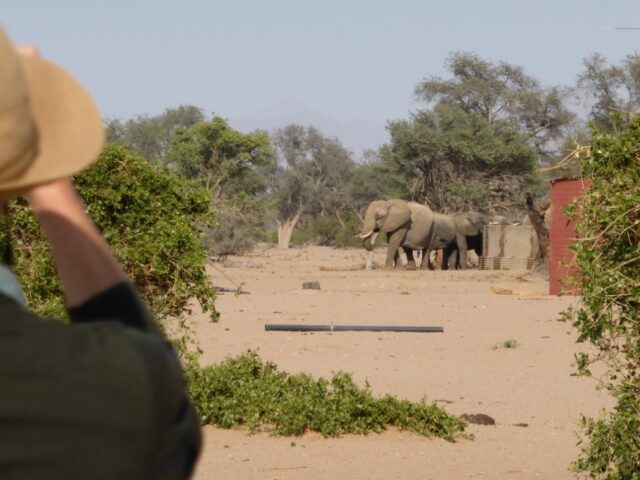 Twyfelfontein Adventure Camp