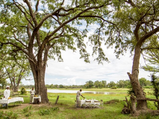 Camp Moremi Bush-Brunch 