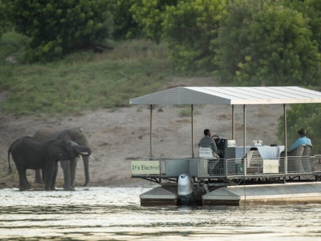 Chobe Game Lodge - River Safari