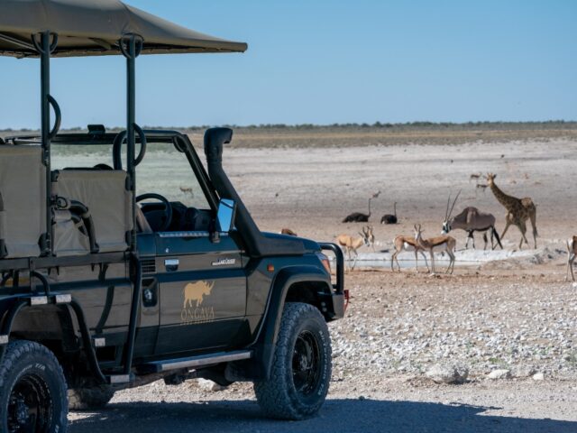 Anderssons at Ongava - Ongava Game Reserve - Etosha National Park