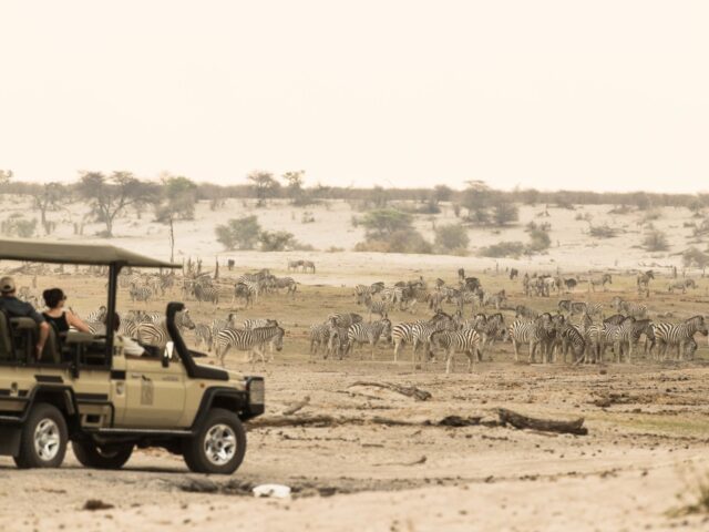 Game Drives at Leroo La Tau 