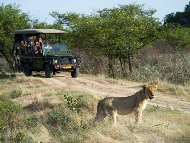 Little Ongava - Ongava Game Reserve - Game drives on Ongava Game Reserve