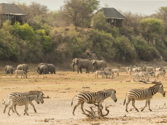 Game Drives at Leroo La Tau 