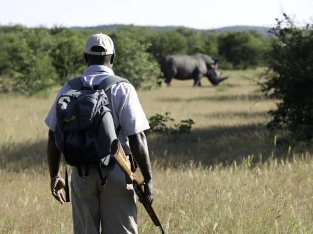 Ongava Tented Camp - Ongava Game Reserve - Etosha National Park - Activities