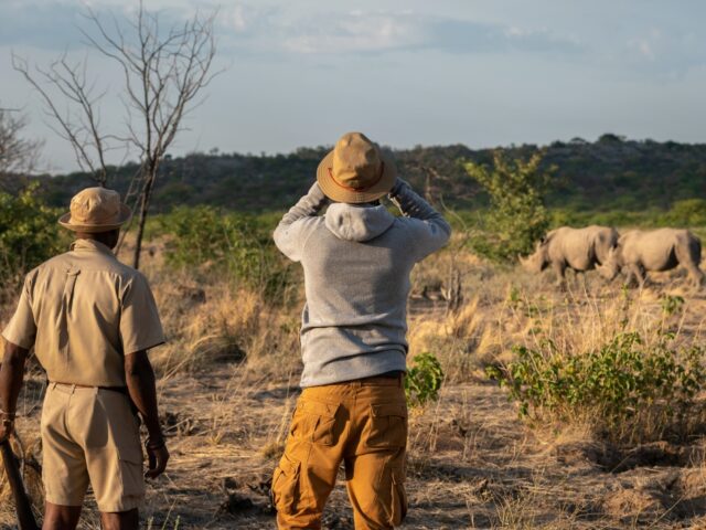 Anderssons at Ongava - Ongava Game Reserve - Etosha National Park