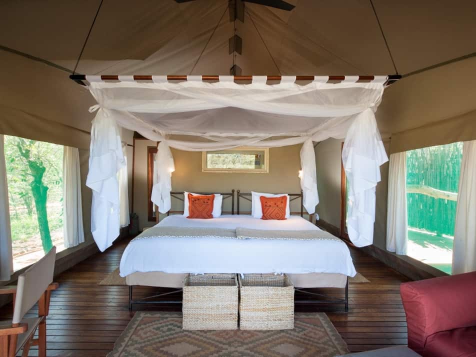 Ongava Tented Camp - Ongava Game Reserve - Etosha National Park