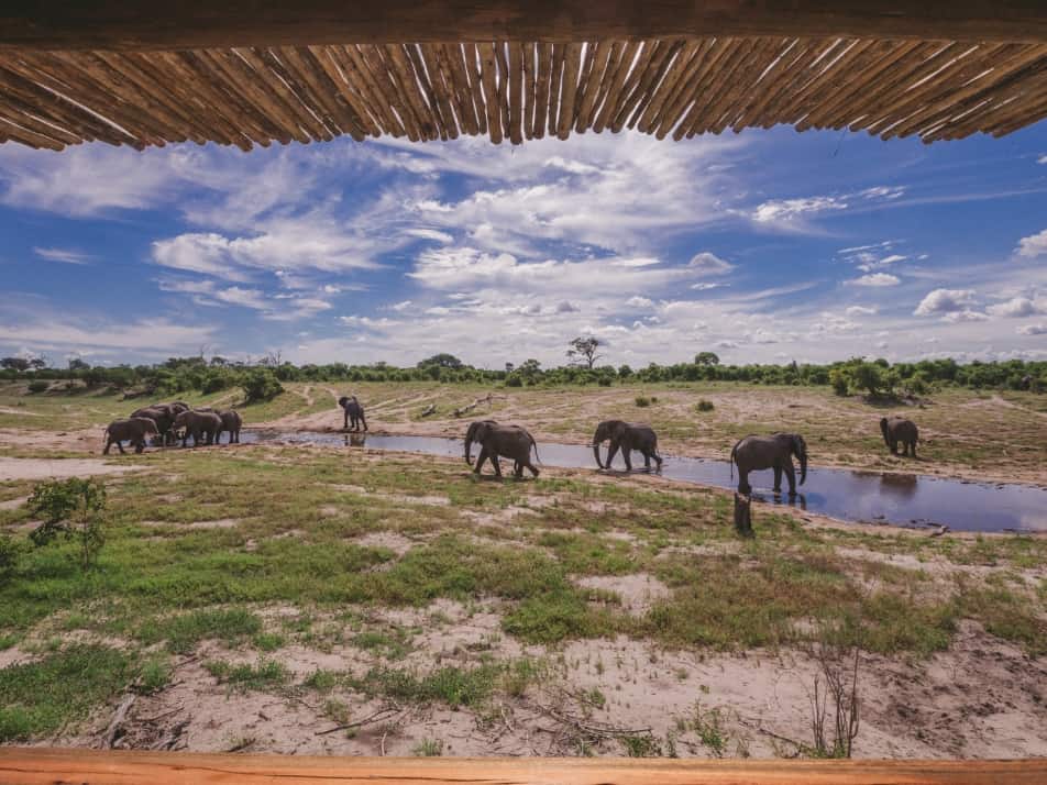 Savute Safari Lodge 