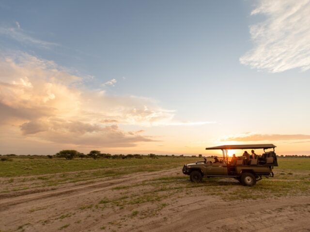 Kalahari Plains Camp - Activities & Wildlife 