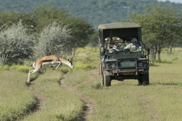 Ongava Lodge @ Ongava Game Reserve