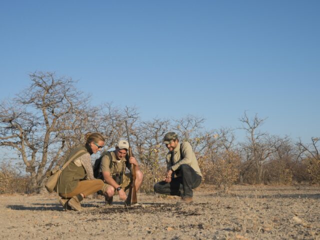 Ongava Tented Camp - Ongava Game Reserve - Etosha National Park - Activities