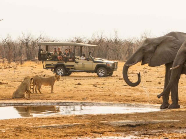 Savute Safari Lodge - Game Drive