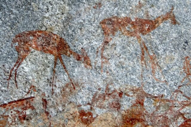 Bushmen Rock Art  Matobo Hills