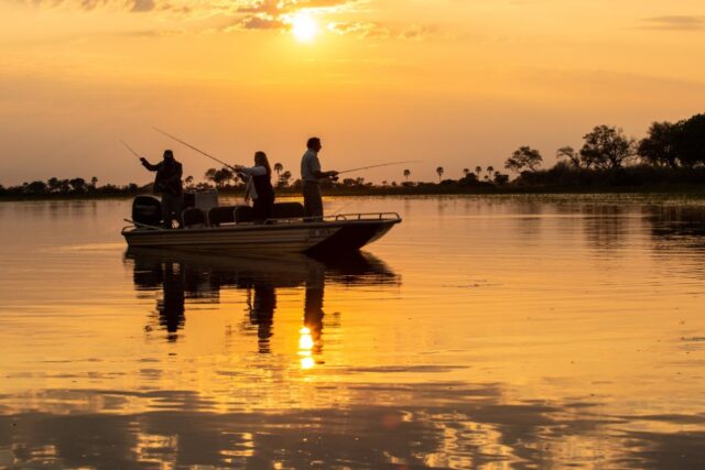 Abu Camp - Wildlife, Activities & Sightings