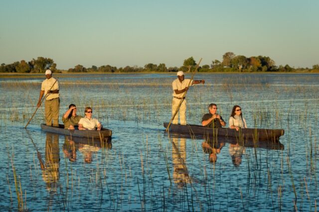 Activities & Wildlife Sightings at Jacana Camp