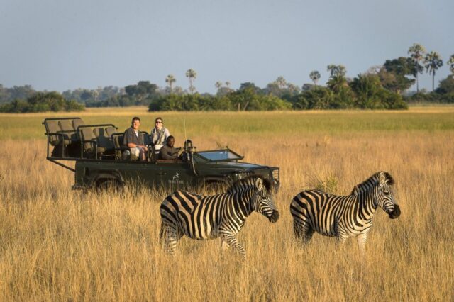 Little Tubu Wildlife Sightings