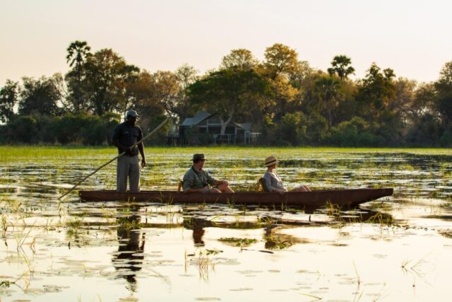 Abu Camp - Wildlife, Activities & Sightings