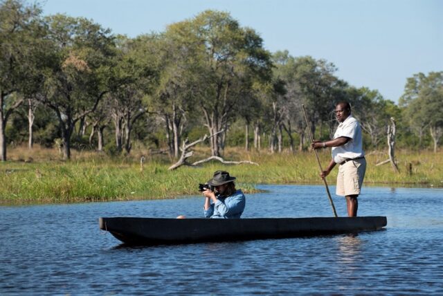 Khwai Bush Camp Game Drive