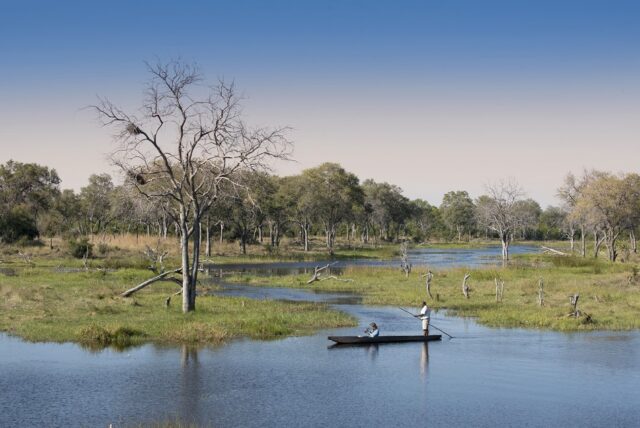 Khwai Bush Camp Game Drive