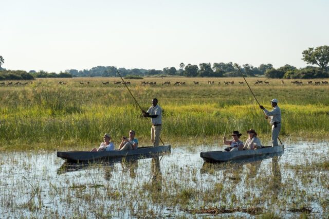 Kwetsani Camp - Okavango Delta - Wildlife & Activities