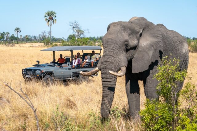 Seba Camp Sightseeing, Wildlife & Activities