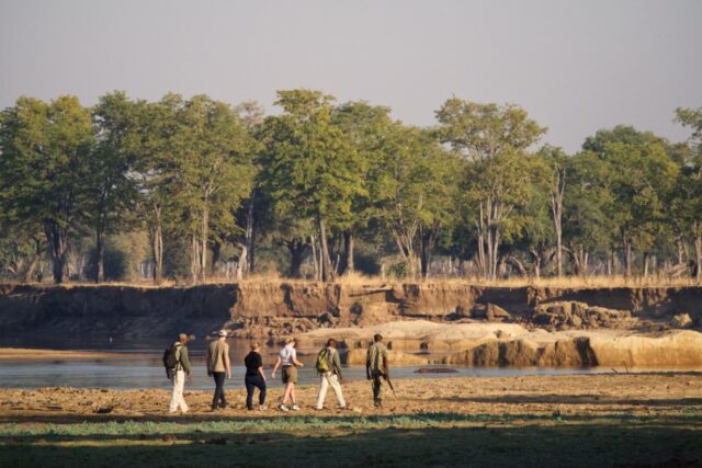 Time + Tide Mchenja - South Luangwa