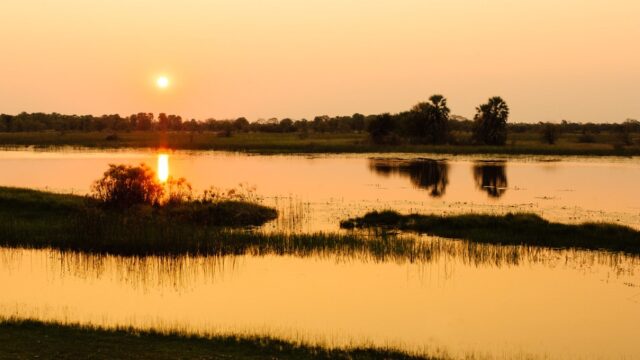 Thamalakane River Lodge - Maun