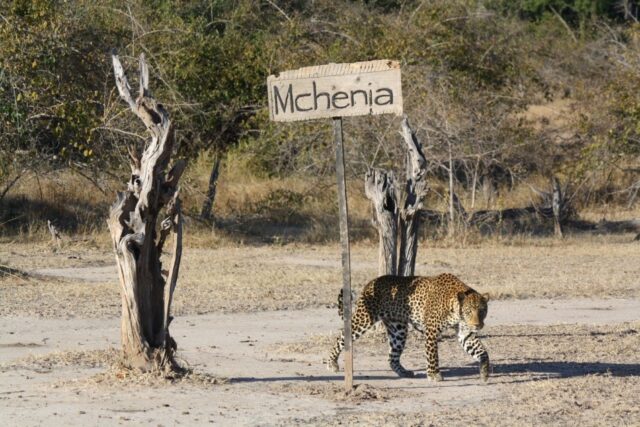 Time + Tide Mchenja - South Luangwa