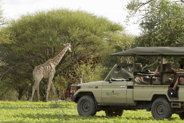 Young Explorers - Activities - Botswana