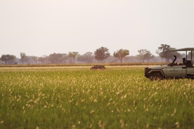 Game Drive at Shinde