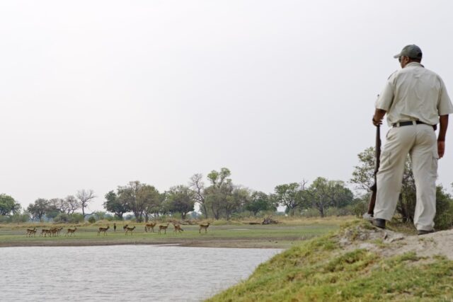 Guided Walk at Shinde