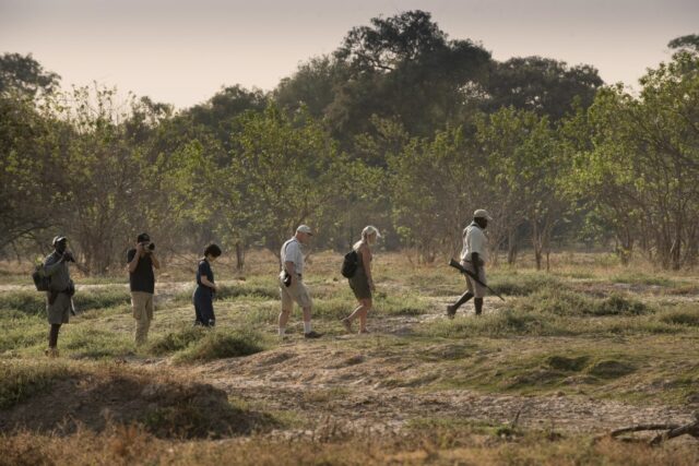 African Bush Camps Nyamatusi Camp Mana Pools National Park Activities