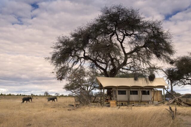 Somalisa Expeditions - Hwange National Park