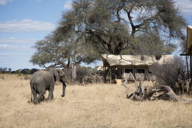 Somalisa Expeditions - Hwange National Park