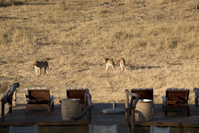 Somalisa Expeditions - Hwange National Park