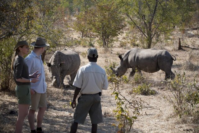 Thorntree River Lodge Mosi Oa Tunya National Park Zambia