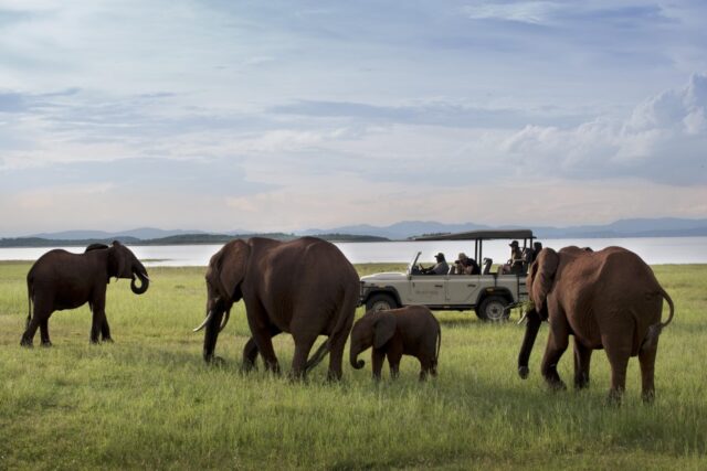 Bumi Hills Safari Lodge - Matusadona National Park - Lake Kariba - Activities & Sightings