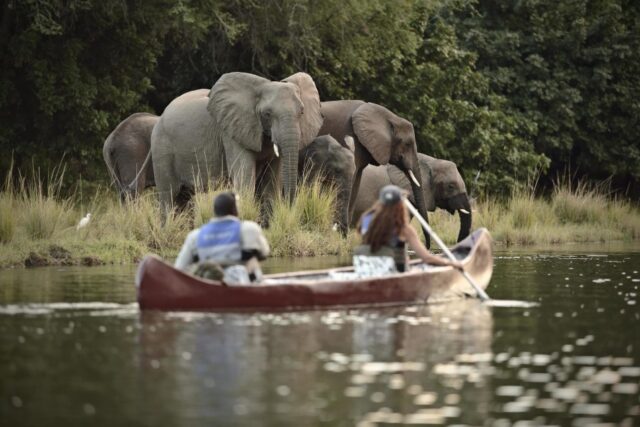 Time + Tide Chongwe River Camp - Activities