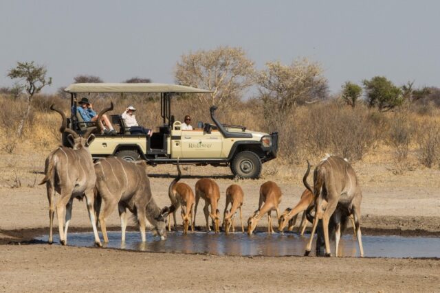 Dinaka - Central Kalahari Game Reserve