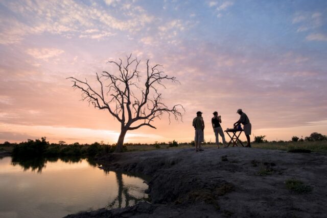 Somalisa Expeditions - Hwange National Park Wildlife & Birds