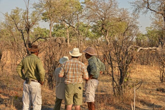 Somalisa Acacia Camp - a private concession in the heart of Hwange National Park