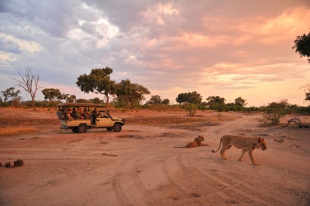 Somalisa Acacia Camp - a private concession in the heart of Hwange National Park